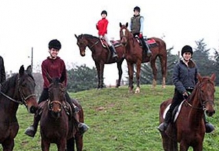  在 Vendee 提供马术服务 